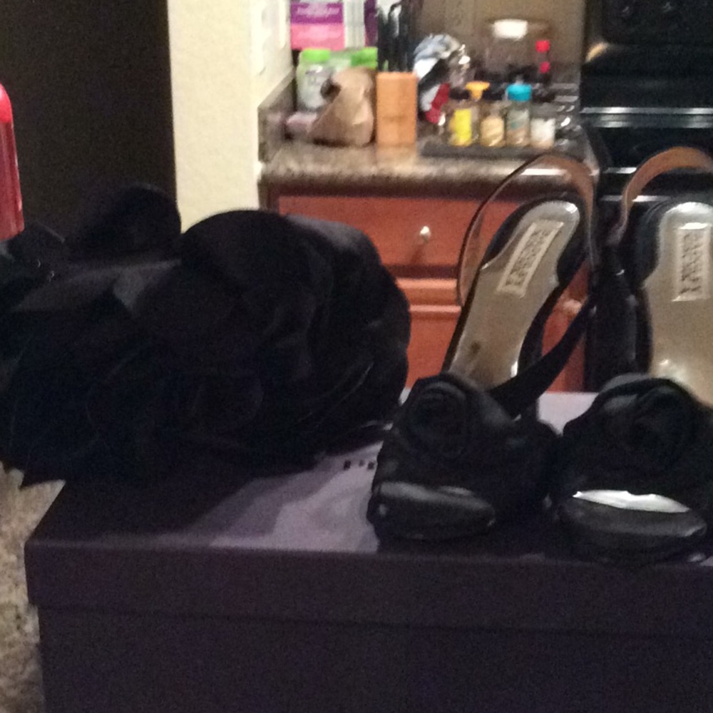 Sample Badgley Mischka  heels matching bag